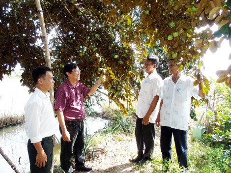 Thúc đẩy phát triển mô hình kinh tế hiệu quả