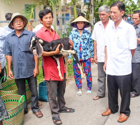Hỗ trợ hội viên nghèo nuôi dê