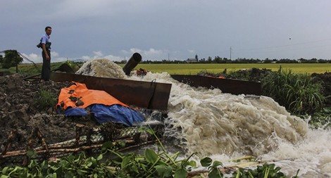 Tập trung bảo vệ sản xuất nông nghiệp trong đợt triều cường Rằm tháng 9 âm lịch