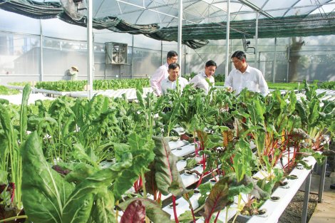 Nông nghiệp ĐBSCL chuyển mình với công nghệ 4.0Bài cuối:  Nông nghiệp 4.0 “thúc” tái cơ cấu nông nghiệp