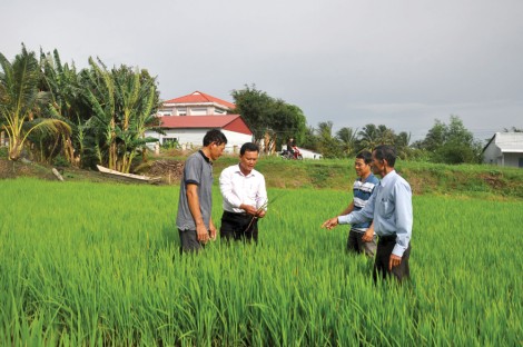 Quyết đẩy lùi suy thoáiBài 1: Luồng gió mới