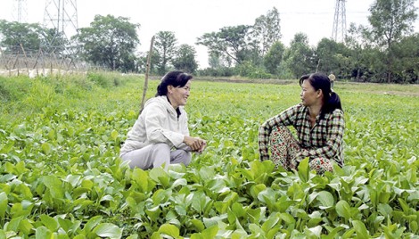 Nâng cao hiệu quả vận động quần chúng