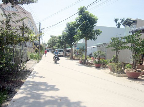 Xây dựng cảnh quan sạch đẹp