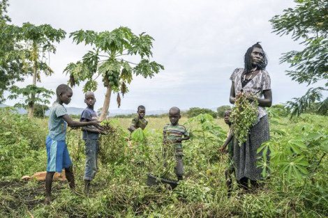 Uganda chào đón dân tị nạn