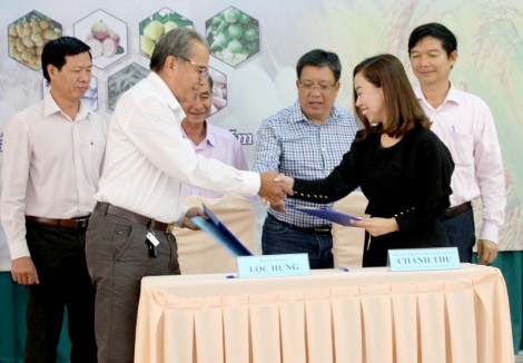 Tìm giải pháp nâng cao giá trị gia tăng cho nông sản chủ lực