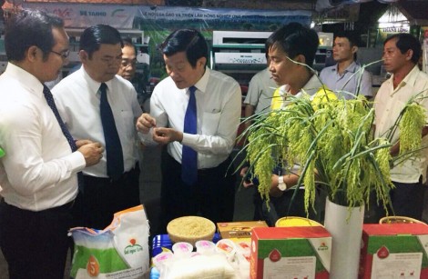 Logo thương hiệu gạo Việt Nam được công bố vào tháng 12