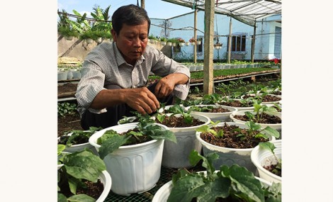 Nông dân Bình Thủy xuống giống

hơn 650.000 giỏ hoa phục vụ

Tết Nguyên đán 2019