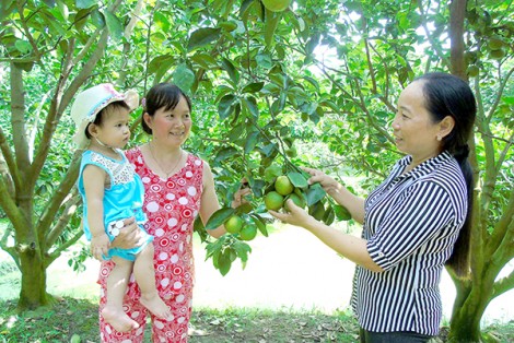 Làm những việc thiết thực vì dân