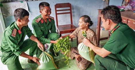 Rau xanh trên quần đảo Hải Tặc