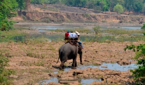 Cảnh báo hạn hán, thiếu nước ở miền Trung, Tây Nguyên và Nam Bộ