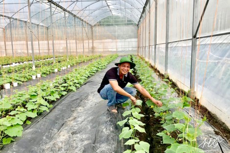 TP Cần Thơ: 72 sản phẩm nông lâm thủy sản được xác nhận an toàn thực phẩm