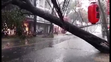 Khắc phục thiệt hại do mưa lớn, gió mạnh gây ra