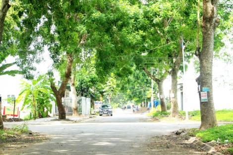 Cân đối tài chính, chọn sản phẩm phù hợp đầu tư