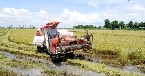 Phát huy vai trò hợp tác xã

trong hội nhập kinh tế