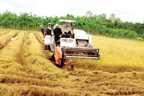 Thúc đẩy phát triển ngành cơ khí phục vụ sản xuất nông nghiệp