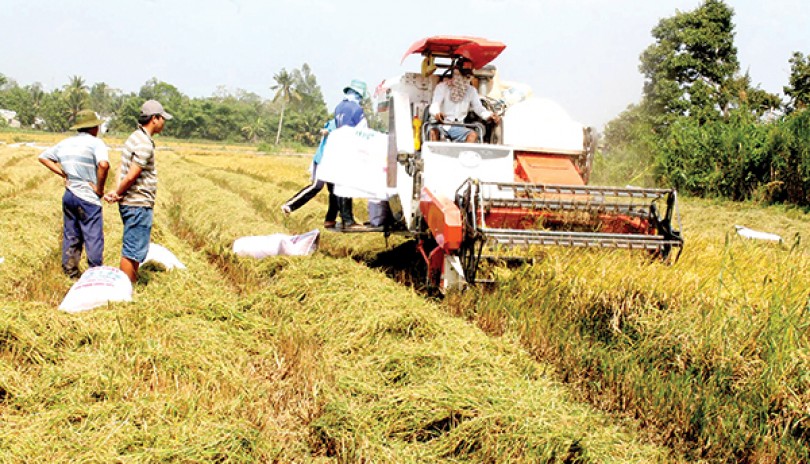 Đồng bằng sông Cửu Long 

phát triển xanh, bền vững