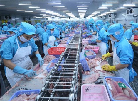 Chủ động ứng phó với phòng vệ thương mại