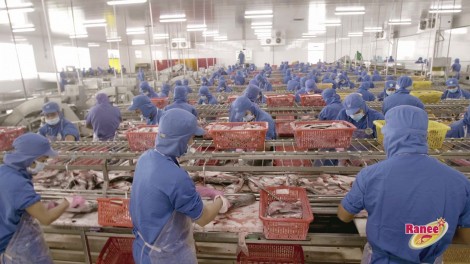 Vượt kế hoạch lợi nhuận cả năm sau 9 tháng, ASM góp mặt trong danh sách câu lạc bộ lãi nghìn tỉ