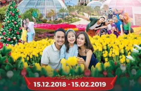FESTIVE WONDERLAND – Lễ hội thần tiên tại xứ sở Vinpearl Land