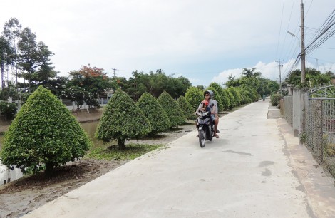 Kỳ vọng về huyện nông thôn mới Vĩnh Thạnh
