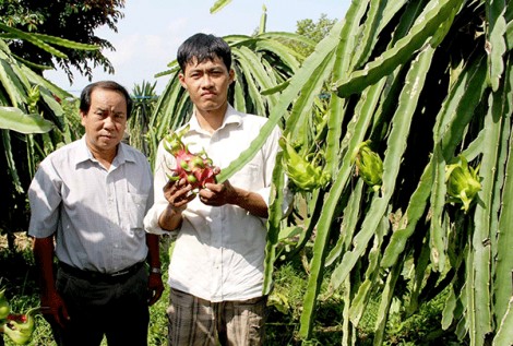 Quận ô môn, huyện vĩnh thạnh, phong điền tổ chức kỳ họp hđnd cuối năm