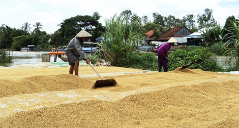 Nâng cao chất lượng xã văn hóa nông thôn mới Trường Xuân B