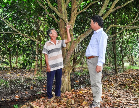 Chuyển biến mới ở Nhơn Ái