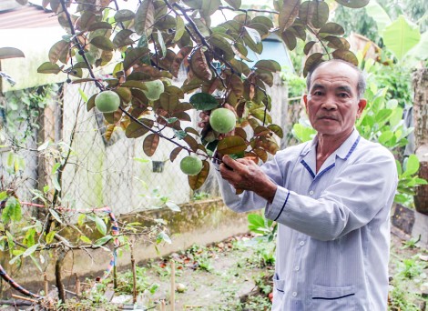 Sử dụng hiệu quả nguồn vốn vay ưu đãi