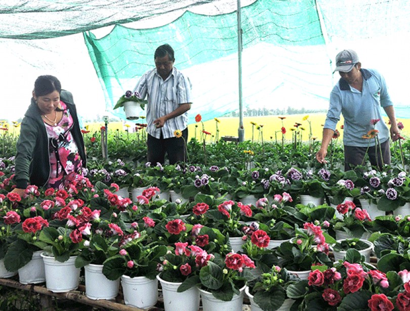 Tín dụng ưu đãi hỗ trợ làng nghề