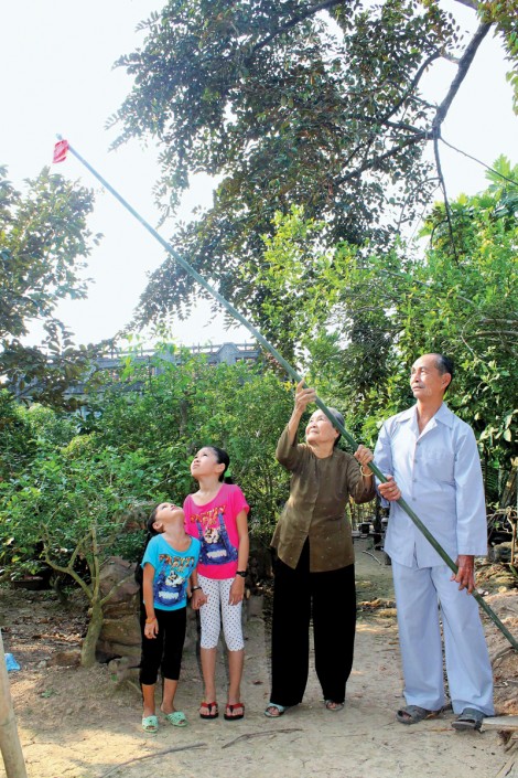 Đôi điều về tục 
dựng nêu ăn Tết