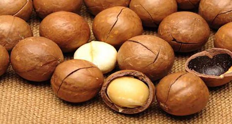 Lợi ích sức khỏe của hạt mắc ca