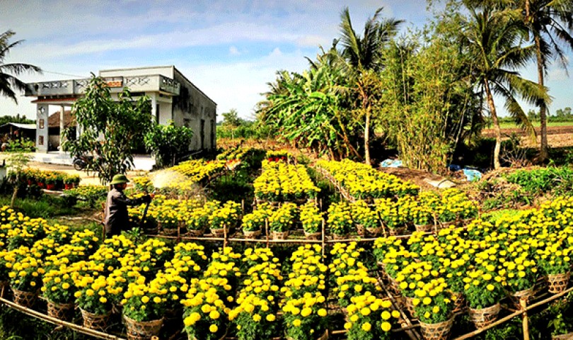 Sắc xuân ở làng nghề