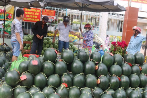 Nguồn cung giảm, giá dưa hấu Tết  tăng