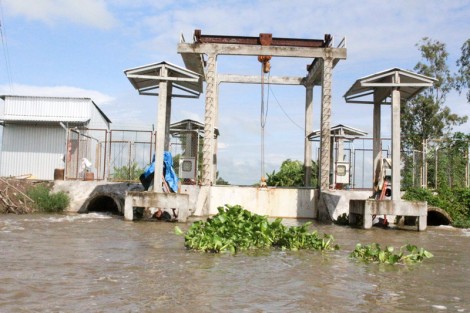 Giải pháp phòng tránh khô hạn, xâm nhập mặn mùa khô