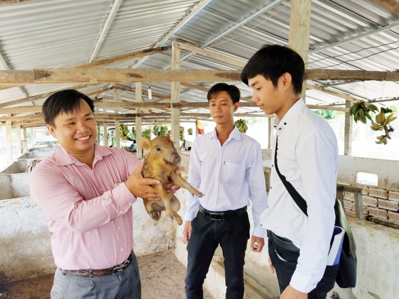 Nuôi heo rừng trên vùng châu thổ