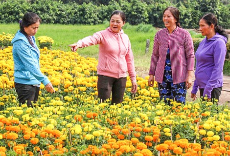 Giúp hội viên phát triển kinh tế