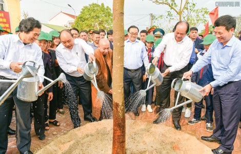 Phát động trồng cây ở mọi vùng miền cả nước cần trở thành phong trào của tất cả địa phương