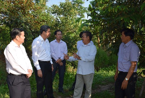Nâng chất toàn diện huyện nông thôn mới