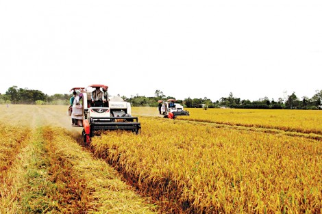 Giảm chi phí, tăng chất lượng