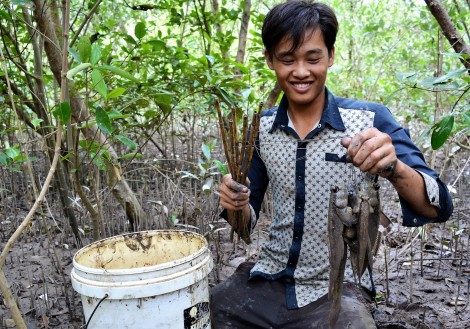 Đặc sản "cá leo cây"
