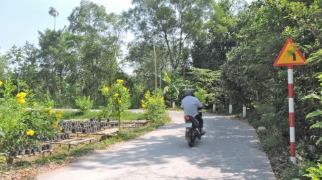 Chú ý kỹ năng lái xe an toàn