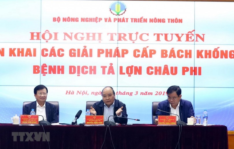Chủ tịch các tỉnh, thành phố phải chịu trách nhiệm về kết quả phòng chống dịch tả lợn châu Phi