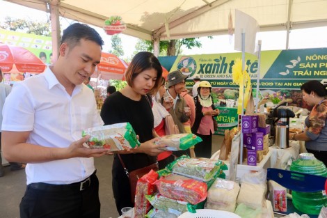 Tìm giải pháp xuất khẩu nông sản chính ngạch sang Trung Quốc