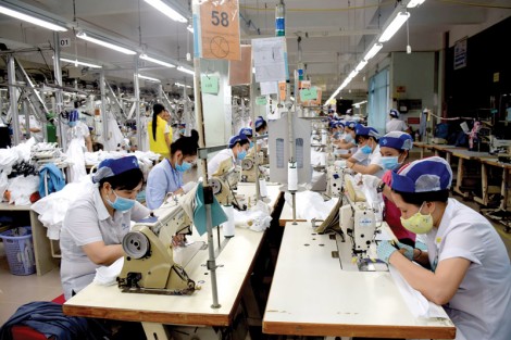 Cấp mới đăng ký kinh doanh cho 198 doanh nghiệp