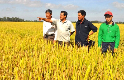 Lãnh đạo đẩy mạnh phát triển kinh tế tập thể