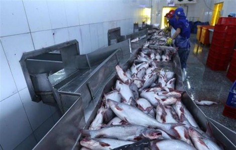 Kim ngạch xuất khẩu thủy sản 2 tháng đầu năm tăng 4,4%