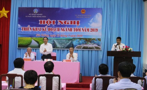 Phấn đấu đạt kim ngạch xuất khẩu tôm trên 4,2 tỉ USD trong năm 2019
