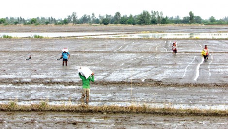 Tọa đàm khoa học “phát triển kinh tế nông nghiệp và khởi nghiệp nông thôn”