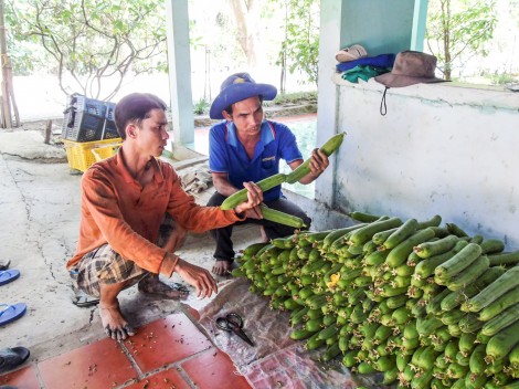 Lo nỗi lo của dân