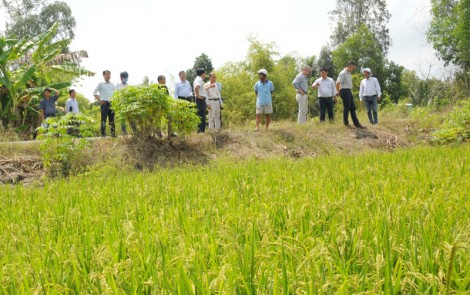 GIZ hỗ trợ thành lập Trung tâm sáng tạo xanh
cho ngành nông nghiệp